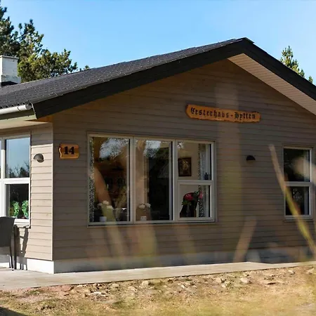 Feriehus Bv439-blavand-horns-bjerge-14 *